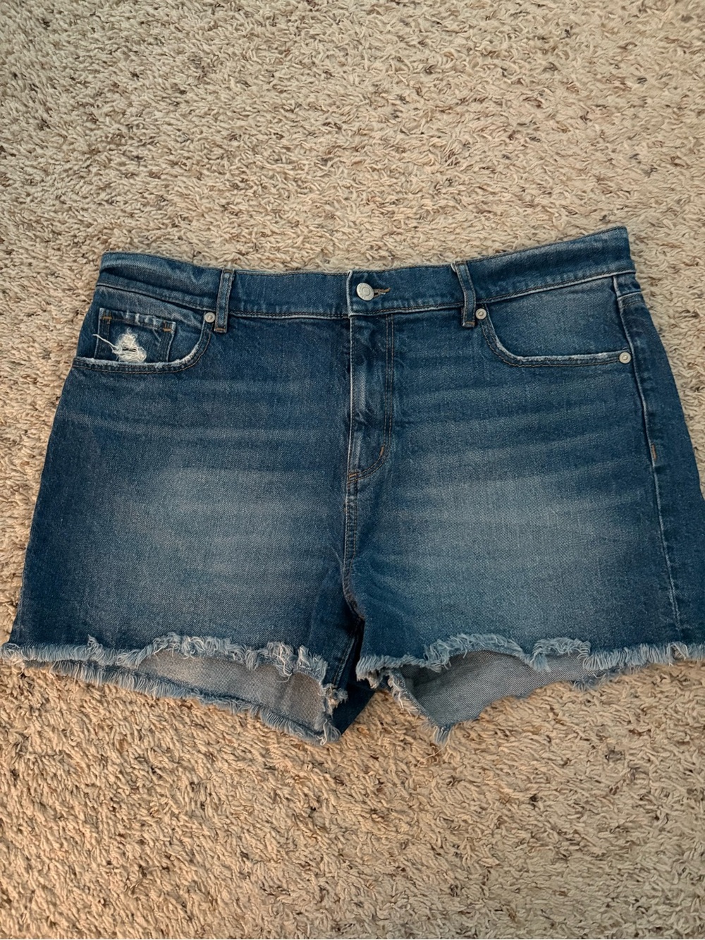 LOFT High Rise Raw Hem Denim Cut Off Shorts 31/12 Summer Casual EUC